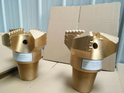 PDC Drill Bit Concave 3 Wings All Kinds of Variety Formation for Water and Oil Well Sharp Cutter Factory Price Made in China